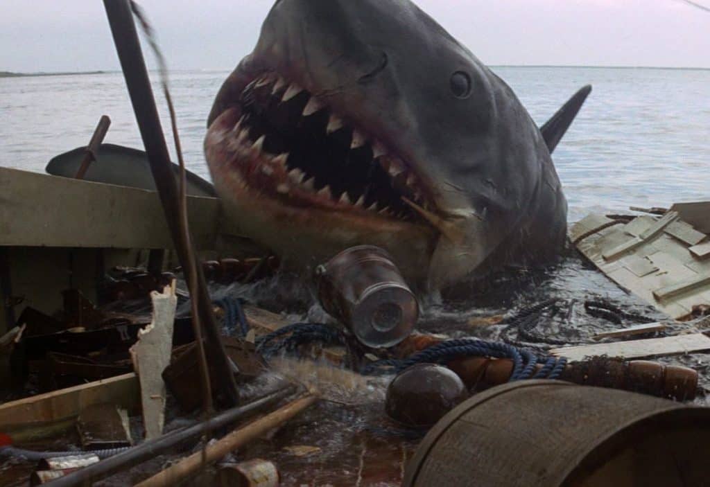 The Gentle Masculinity of Jaws | BanterFlix