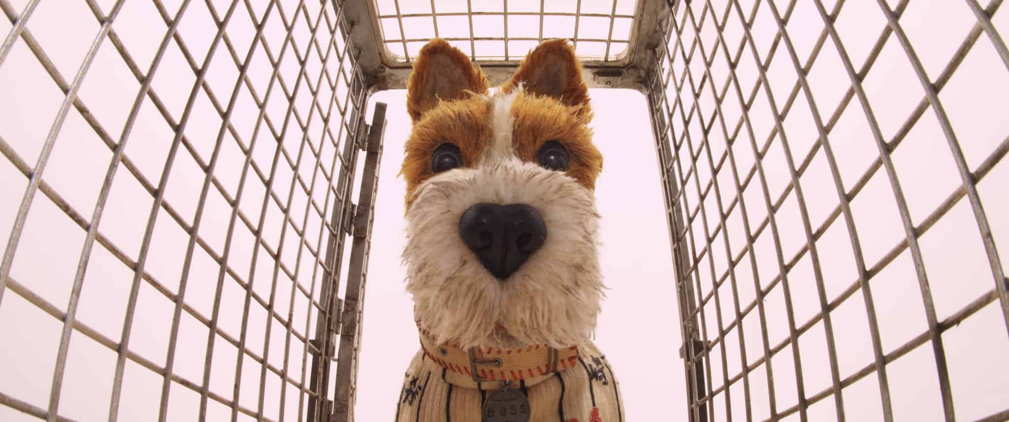 Isle of Dogs Review | BanterFlix